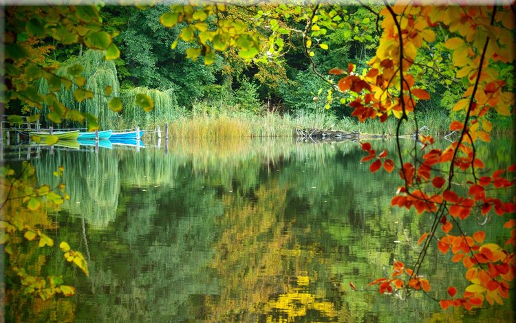 озеро, природа, лес, отражение, осень, лодки, lake, nature, forest, reflection, autumn, boats