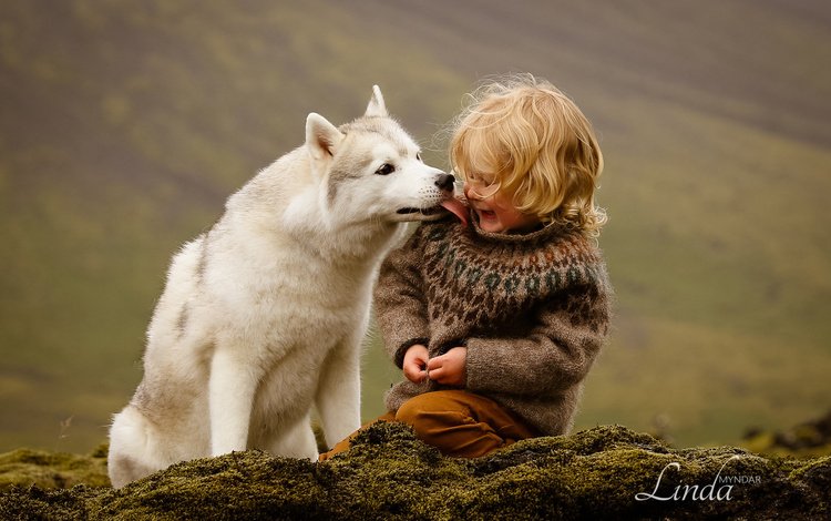собака, мальчик, хаски, исландия, дружба, друзья, dog, boy, husky, iceland, friendship, friends