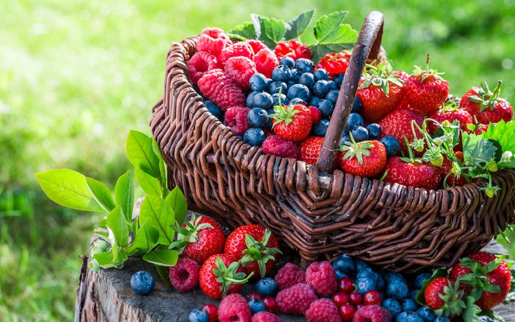малина, клубника, корзина, ягоды, черника, raspberry, strawberry, basket, berries, blueberries
