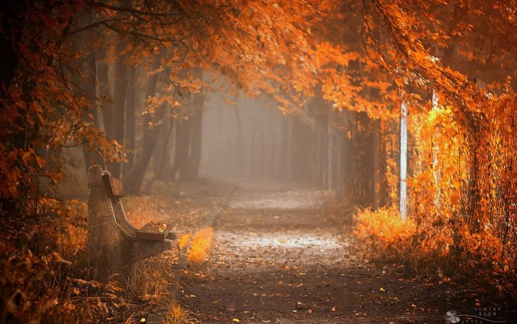 природа, парк, осень, скамейка, nature, park, autumn, bench