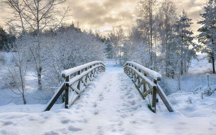 деревья, снег, природа, зима, мост, следы, польша, trees, snow, nature, winter, bridge, traces, poland