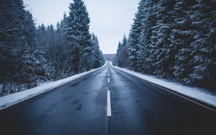 дорога, деревья, природа, зима, road, trees, nature, winter