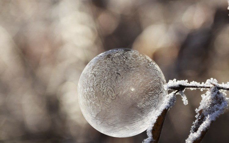 зима, настроение, мороз, иней, пузырь, мыльный пузырь, winter, mood, frost, bubble