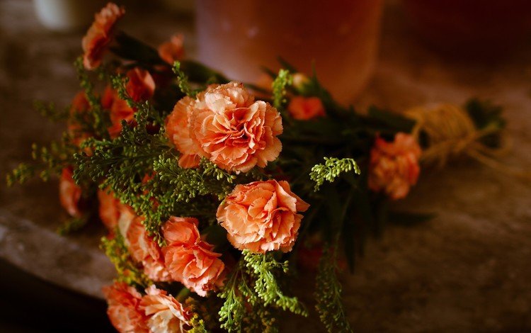 цветы, букет, натюрморт, гвоздики, flowers, bouquet, still life, clove