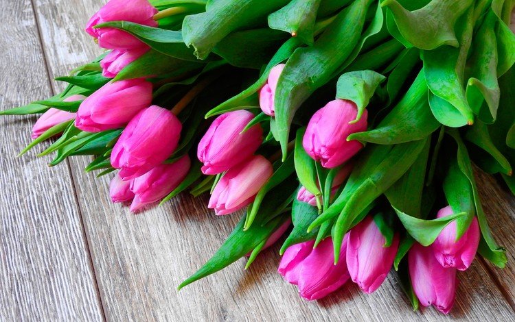 цветы, весна, букет, тюльпаны, розовые, деревянная поверхность, flowers, spring, bouquet, tulips, pink, wooden surface