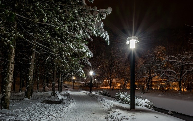 ночь, фонари, природа, зима, парк, хорватия, загреб, уличный фонарь, night, lights, nature, winter, park, croatia, zagreb