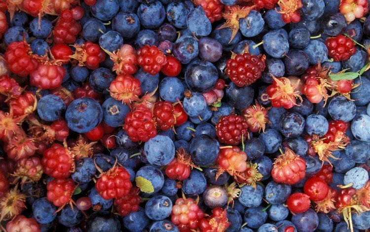 малина, ягоды, много, черника, raspberry, berries, a lot, blueberries