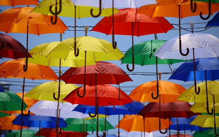разноцветные, яркие, зонты, зонтики, colorful, bright, umbrellas