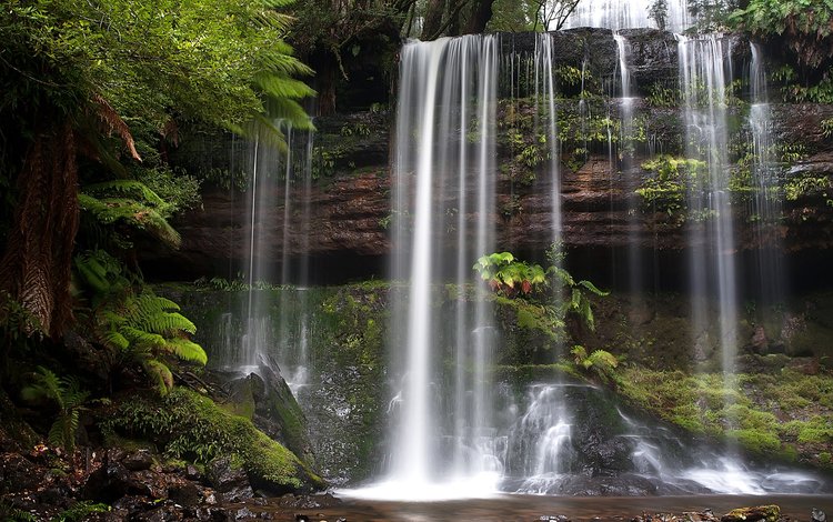 водопад, австралия, тасмания, russell falls, mount field national park, waterfall, australia, tasmania