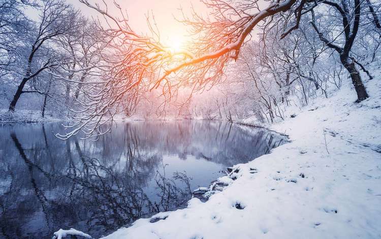 деревья, река, снег, закат, зима, отражение, ветки, trees, river, snow, sunset, winter, reflection, branches