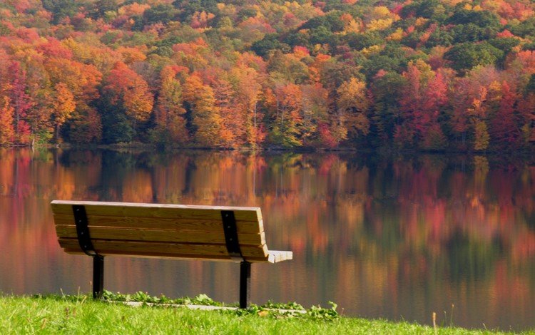 деревья, скамейка, река, безмятежность, листья, скамья, лавочка, отражение, пейзаж, разноцветные, день, осень, trees, bench, river, serenity, leaves, shop, reflection, landscape, colorful, day, autumn