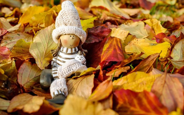природа, осень, игрушка, кукла, шапочка, фигурка, осенние листья, nature, autumn, toy, doll, cap, figure, autumn leaves