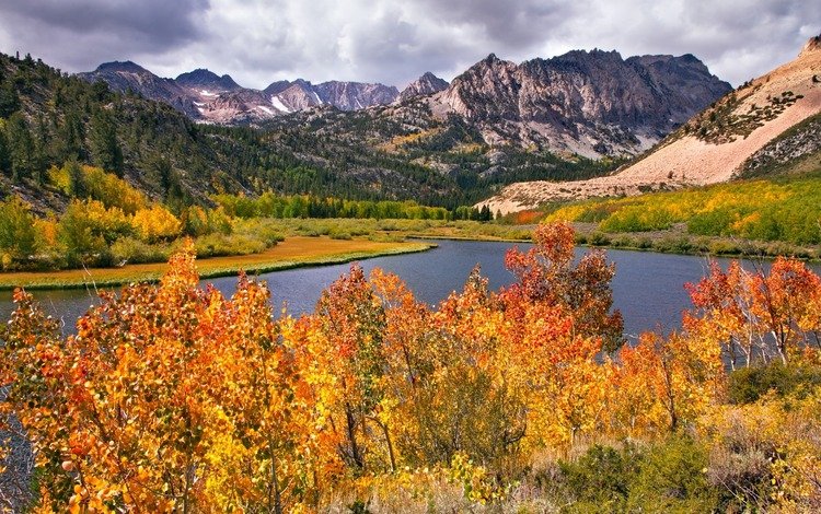 деревья, река, горы, листья, пейзаж, осень, trees, river, mountains, leaves, landscape, autumn