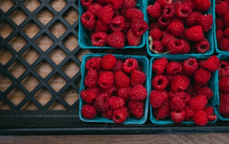 малина, ягоды, много, урожай, контейнеры, ящик, коробочки, raspberry, berries, a lot, harvest, containers, box, boxes