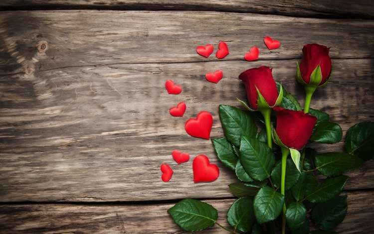 цветы, святого, бутоны, красные розы, розы, лепестки, красные, любовь, сердечки, день святого валентина, flowers, holy, buds, red roses, roses, petals, red, love, hearts, valentine's day