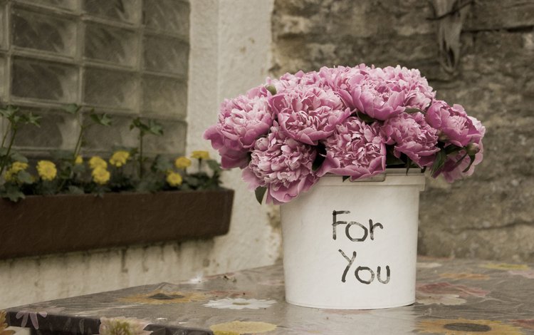 цветы, лепестки, букет, розовые, ведро, пионы, flowers, petals, bouquet, pink, bucket, peonies