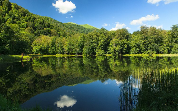 небо, облака, озеро, природа, лес, отражение, the sky, clouds, lake, nature, forest, reflection