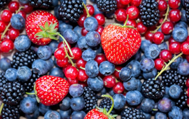 клубника, ягоды, черника, красная смородина, ежевика, strawberry, berries, blueberries, red currant, blackberry