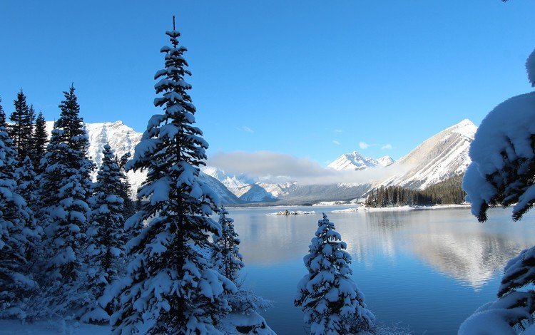 небо, деревья, озеро, горы, снег, зима, ели, the sky, trees, lake, mountains, snow, winter, ate