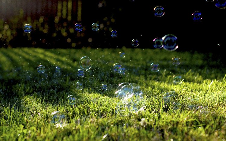 трава, природа, растение, лужайка, мыльные пузыри, мыльные пузырики, grass, nature, plant, lawn, bubbles, soap bubbles