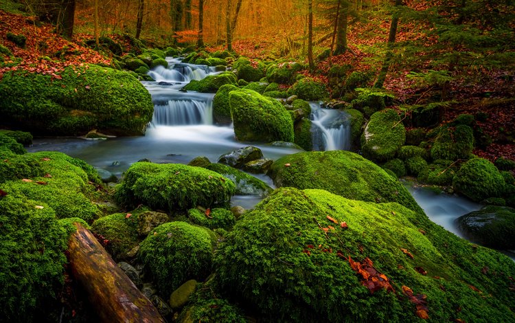 река, камни, листья, ручей, осень, швейцария, поток, мох, валуны, boulders, river, stones, leaves, stream, autumn, switzerland, moss