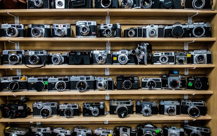 фотоаппарат, много, коллекция, полки, фотоаппараты, the camera, a lot, collection, shelves, cameras