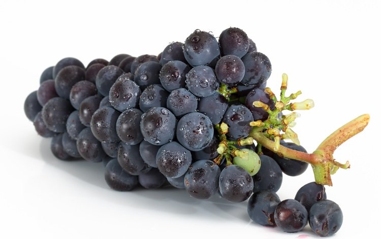 виноград, белый фон, гроздь, grapes, white background, bunch