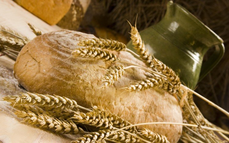 колосья, пшеница, хлеб, колос, кувшин, хлебобулочные изделия, ears, wheat, bread, ear, pitcher, bakery products