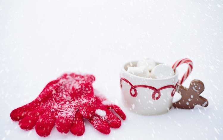 снег, зима, кружка, перчатки, горячий шоколад, маршмеллоу, имбирный пряник, snow, winter, mug, gloves, hot chocolate, marshmallows