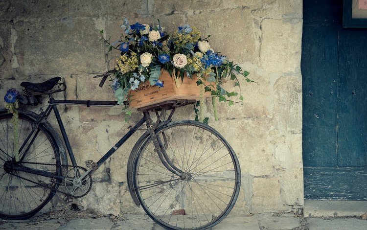 цветы, стена, франция, велосипед, ящик, flowers, wall, france, bike, box