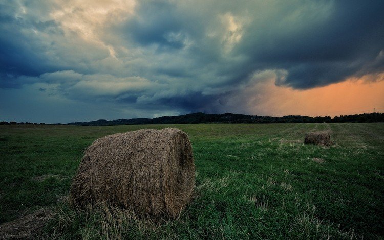 небо, трава, облака, поле, горизонт, сено, тюки, рулоны, the sky, grass, clouds, field, horizon, hay, bales, rolls