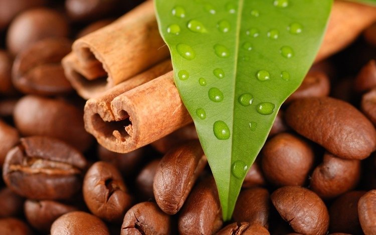 капли, корица, кофе, листик, кофейные зерна, drops, cinnamon, coffee, leaf, coffee beans
