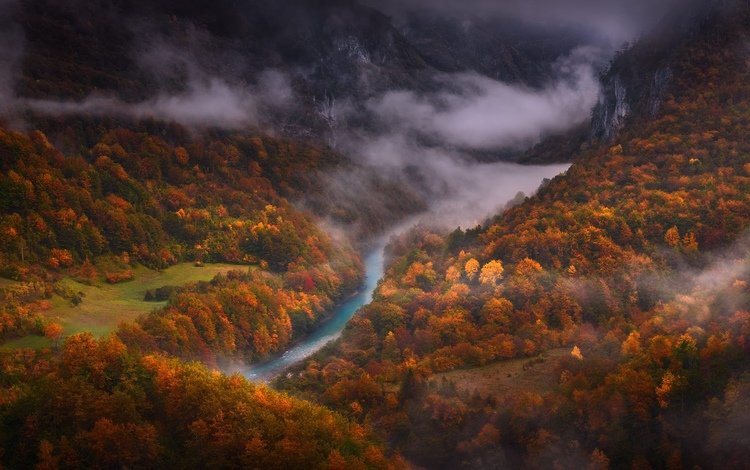 деревья, река, горы, лес, туман, вид сверху, осень, trees, river, mountains, forest, fog, the view from the top, autumn