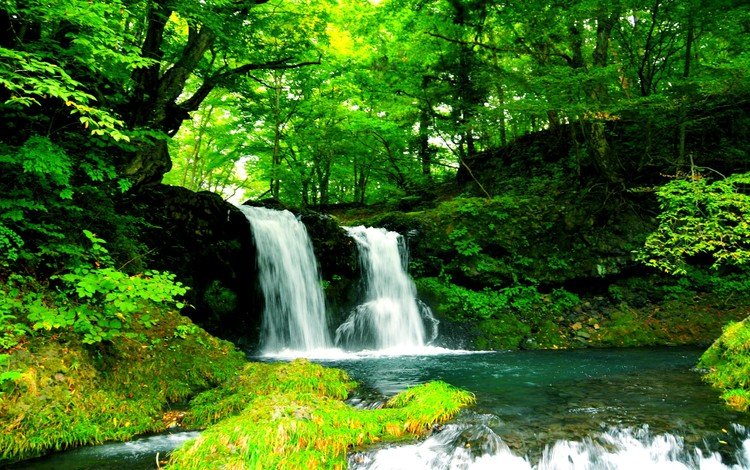 деревья, растительность, вода, природа, лес, пейзаж, водопад, поток, водопады, trees, vegetation, water, nature, forest, landscape, waterfall, stream, waterfalls