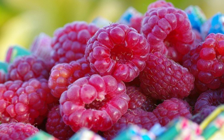 малина, ягода, ягоды, крупным планом, raspberry, berry, berries, closeup