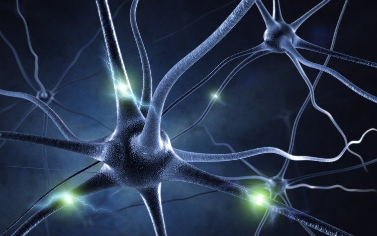 свет, фон, синий, цвет, клетки, нейрон, синапсы, 3d графика, light, background, blue, color, cells, neuron, synapses, 3d graphics