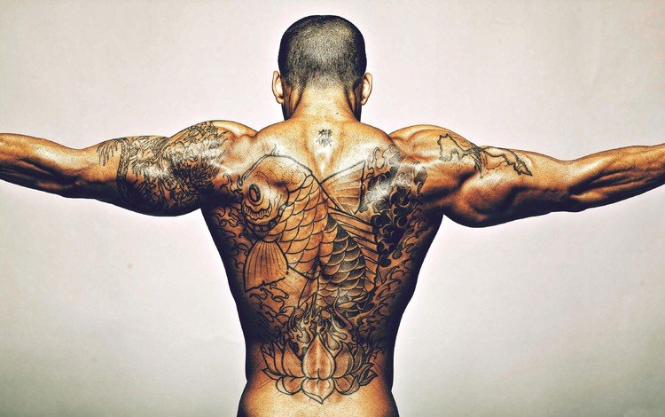 парень, спина, руки, мужчина, татуировка, мышцы, guy, back, hands, male, tattoo, muscle
