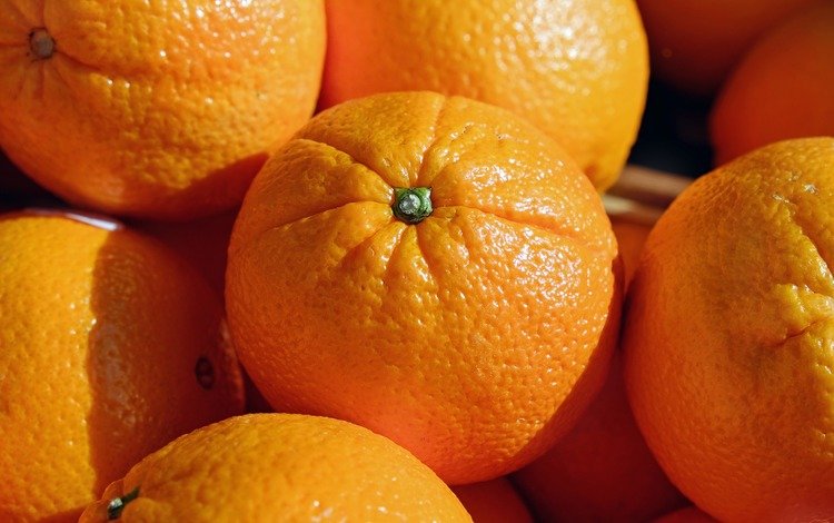 фрукты, апельсины, мандарины, цитрусы, fruit, oranges, tangerines, citrus