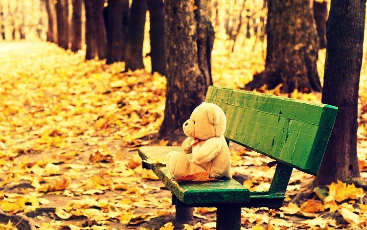 осень, мишка, игрушка, скамейка, плюшевый медведь, осенние листья, autumn, bear, toy, bench, teddy bear, autumn leaves