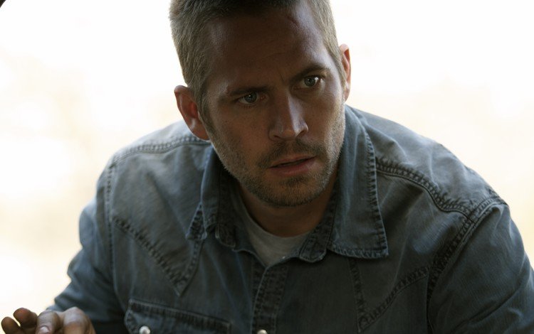 портрет, взгляд, актёр, лицо, мужчина, пол уокер, portrait, look, actor, face, male, paul walker