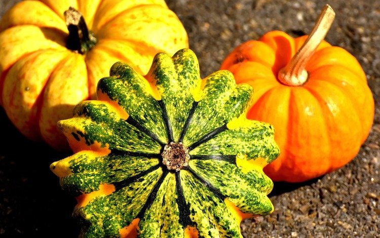 осень, урожай, тыквы, тыква, крупным планом, autumn, harvest, pumpkin, closeup