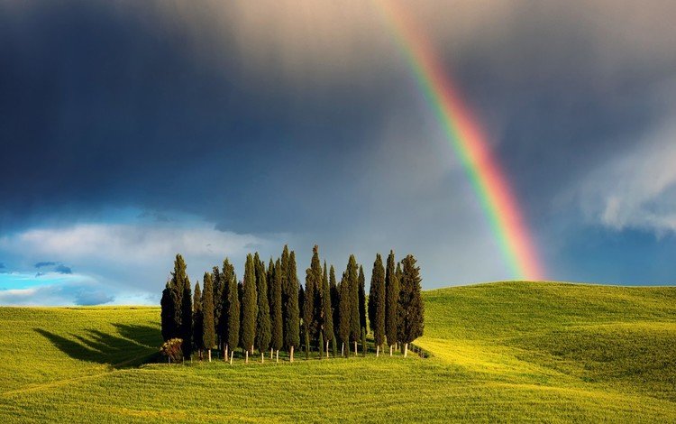 небо, тоскана, облака, кипарис, деревья, природа, пейзаж, поля, радуга, италия, the sky, tuscany, clouds, cypress, trees, nature, landscape, field, rainbow, italy