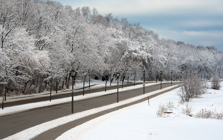 дорога, деревья, фонари, снег, зима, ветки, город, улица, road, trees, lights, snow, winter, branches, the city, street