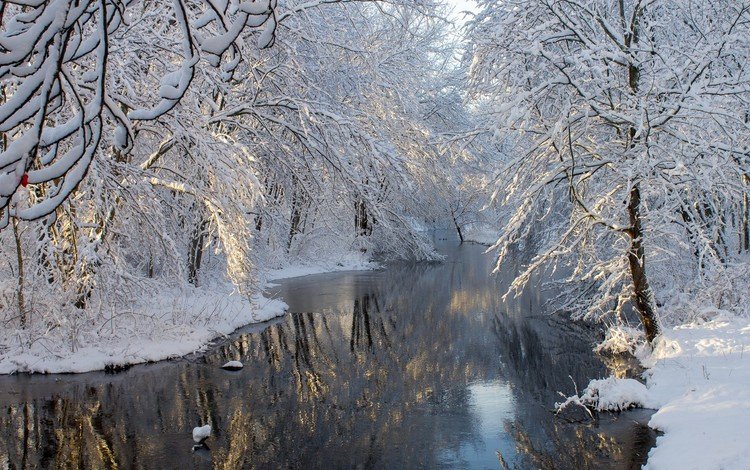 деревья, река, снег, зима, отражение, пейзаж, ветви, мороз, trees, river, snow, winter, reflection, landscape, branch, frost