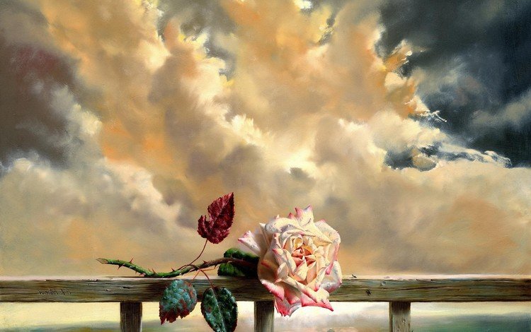 небо, облака, листья, цветок, роза, лепестки, бутон, the sky, clouds, leaves, flower, rose, petals, bud