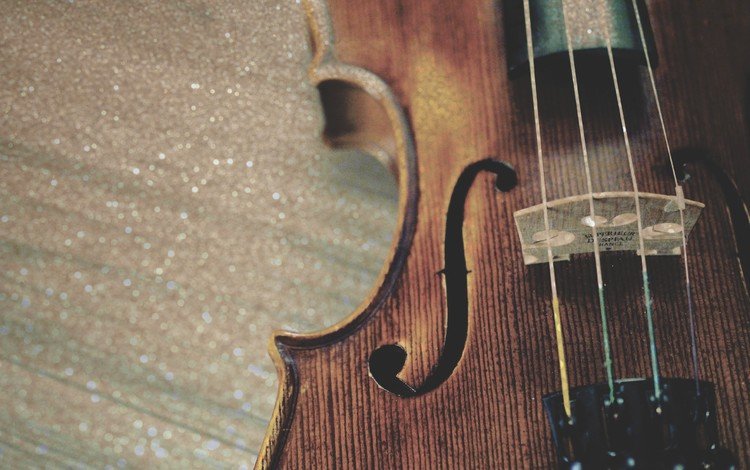 скрипка, струны, музыкальный инструмент, крупным планом, violin, strings, musical instrument, closeup