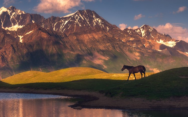 лошадь, озеро, горы, природа, конь, horse, lake, mountains, nature