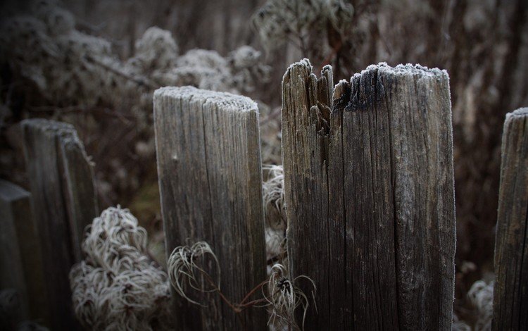 трава, иней, забор, доски, старые, grass, frost, the fence, board, old