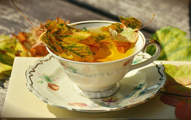 блюдце, чашка, чай, фарфор, осенние листья, saucer, cup, tea, porcelain, autumn leaves