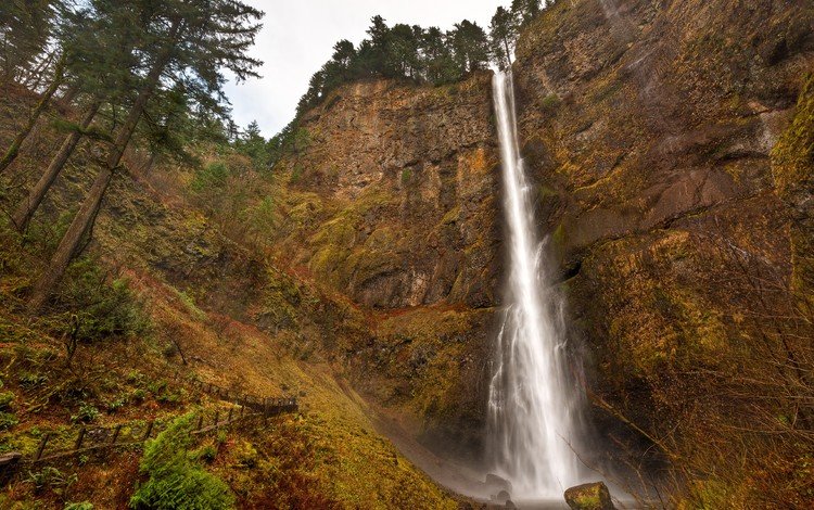 деревья, скалы, водопад, сша, орегон, multnomah falls, водопад мультномах, trees, rocks, waterfall, usa, oregon